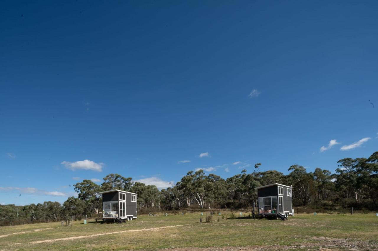 Saddle Camp Tiny House By Tiny Away Villa Braidwood Eksteriør bilde